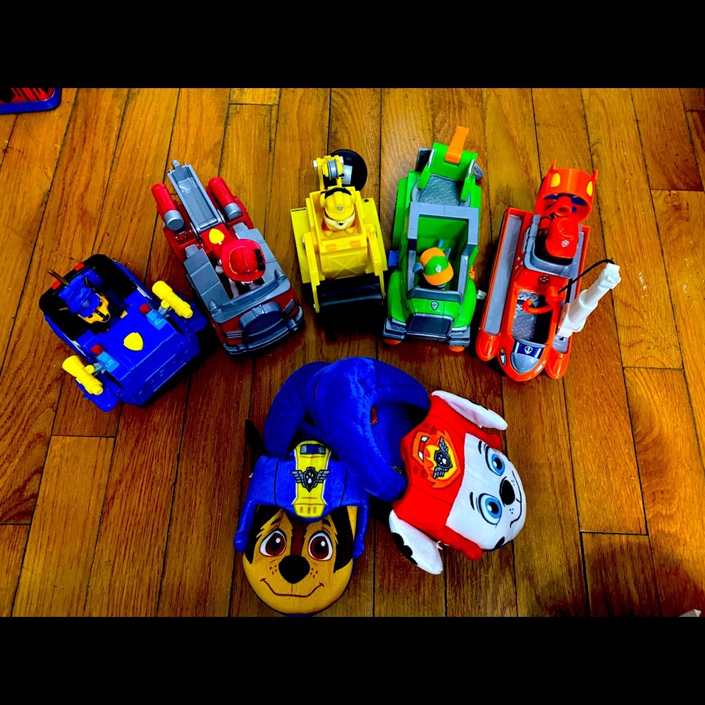 Paw patrol kid dream